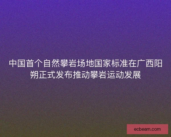 中国首个自然攀岩场地国家标准在广西阳朔正式发布推动攀岩运动发展 中国首个自然攀岩场地国家标准在广西阳朔正式发布推动攀岩运动发展